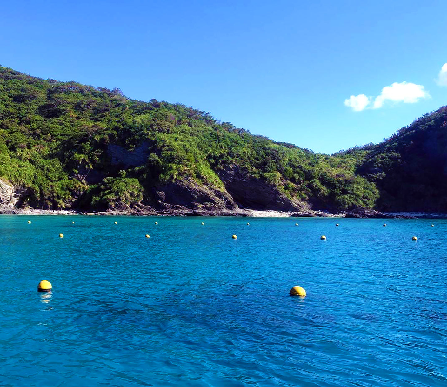 kerama pearl × marumaru charm top / K18