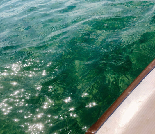 エメラルドグリーンの海面。光をふくんで、きらきらと揺れている。